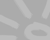 The Fredder Federsson Experience